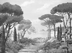 Wallpaper stroll in the calanques black and white