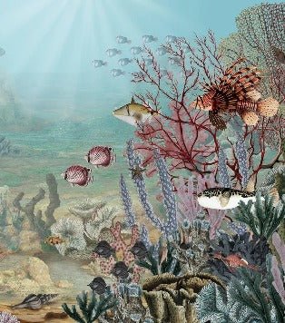Life under the sea wallpaper