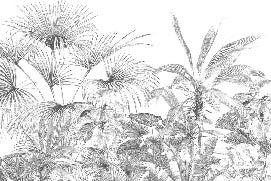 Tropical monochrome engraving wallpaper