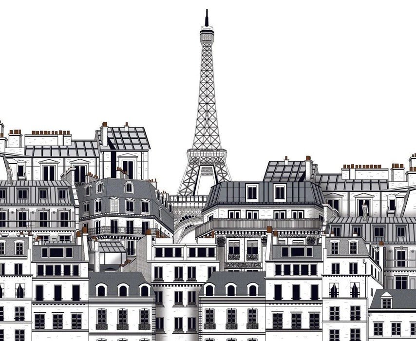 French wallpaper Parisian rooftops