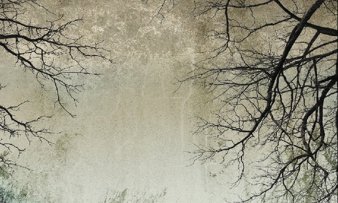 Enchanted Forest wallpaper