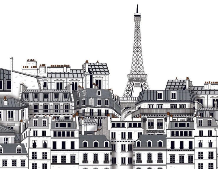 French wallpaper Parisian rooftops
