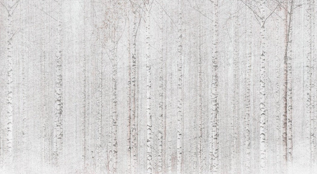 Wrapping birch forest wallpaper