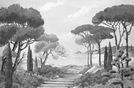 Wallpaper stroll in the calanques black and white