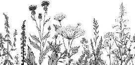 Black and white botanical folk wallpaper