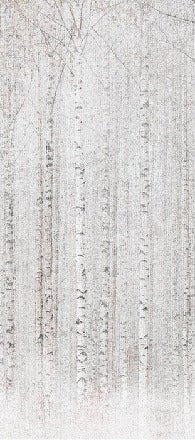 Enveloping birch forest wallpaper