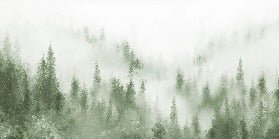 Watercolor green mist bistro fir wallpaper