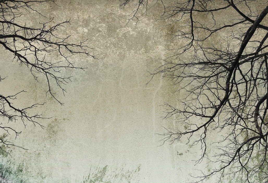 Enchanted Forest wallpaper