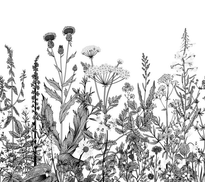 Black and white botanical folk wallpaper