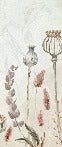 Autumn flowers wallpaper