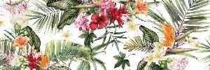 Tropical wallpaper & Colorful flowers