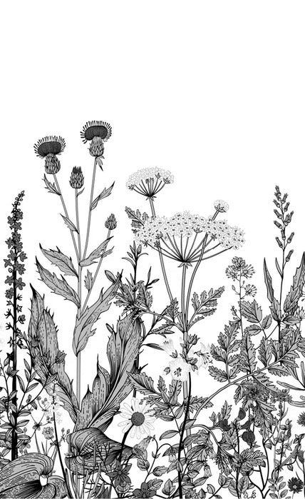 Black and white botanical folk wallpaper