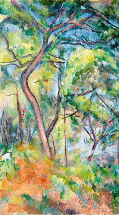 Pine Forest Wallpaper - Paul Cézanne