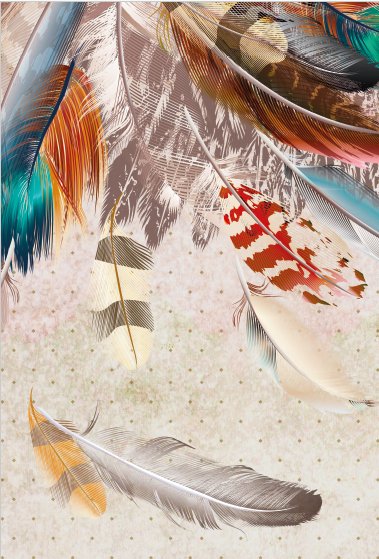 Indian Feathers Wallpaper L102cm x H154cm