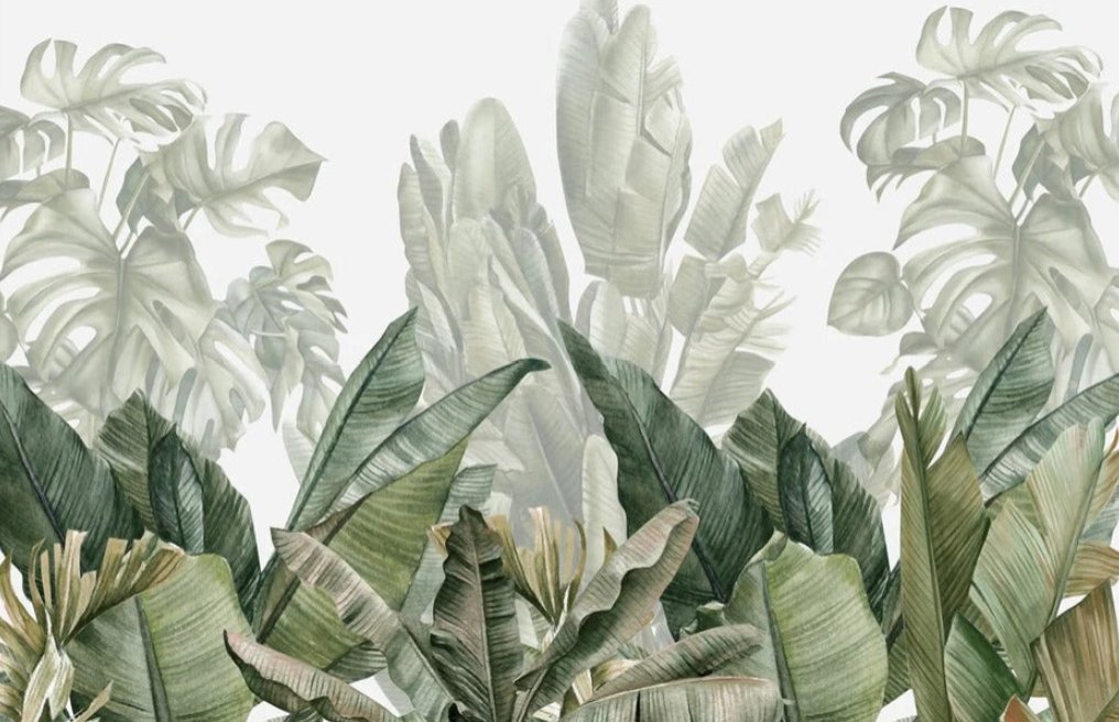 Green banana tree panoramic wallpaper L340cm x H220cm