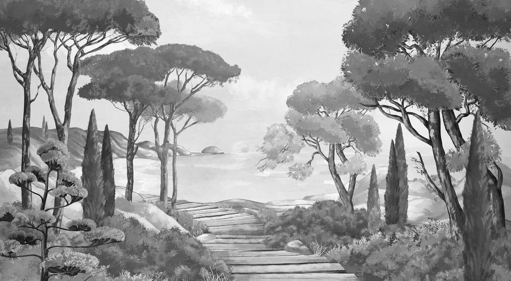 Papier peint balade dans les calanques noir et blanc, XXL, tendance