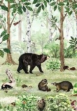 Papier peint bébé douceur forestière, XXL, tendance