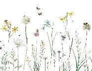 Papier peint herbes enchantées, XXL, tendance