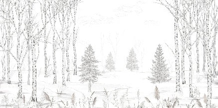 Black and white tree forest wallpaper