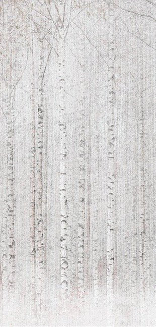 Enveloping birch forest wallpaper