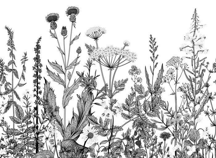 Black and white botanical folk wallpaper