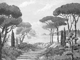 Wallpaper stroll in the calanques black and white