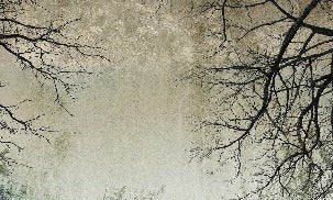 Papier peint Forêt Enchantée, XXL, tendance