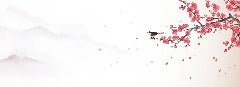 Papier peint harmonie zen sakura, XXL, tendance