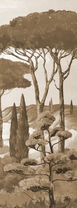 Wallpaper stroll in the calanques monochrome