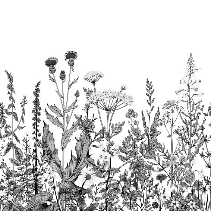 Black and white botanical folk wallpaper