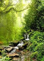 Papier peint Cascade & Forêt, XXL, tendance