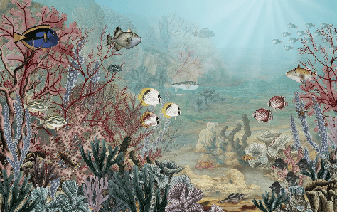 Under the Sea Wallpaper
