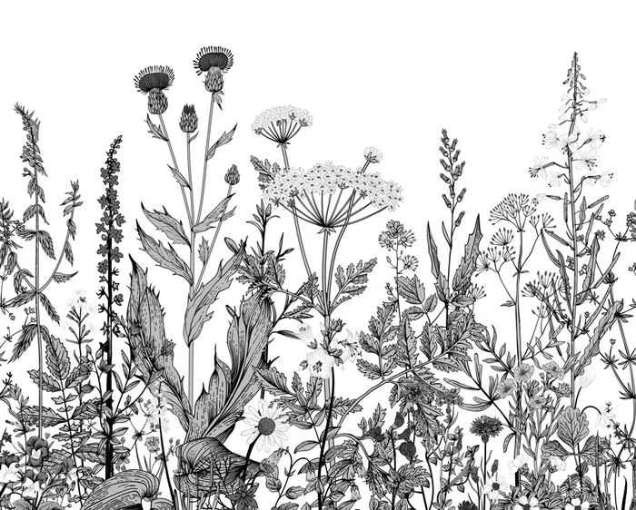 Black and white botanical folk wallpaper