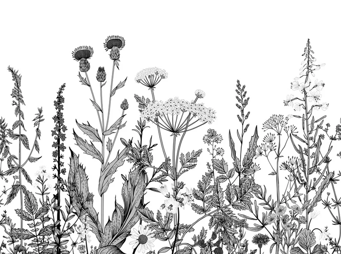 Black and white botanical folk wallpaper