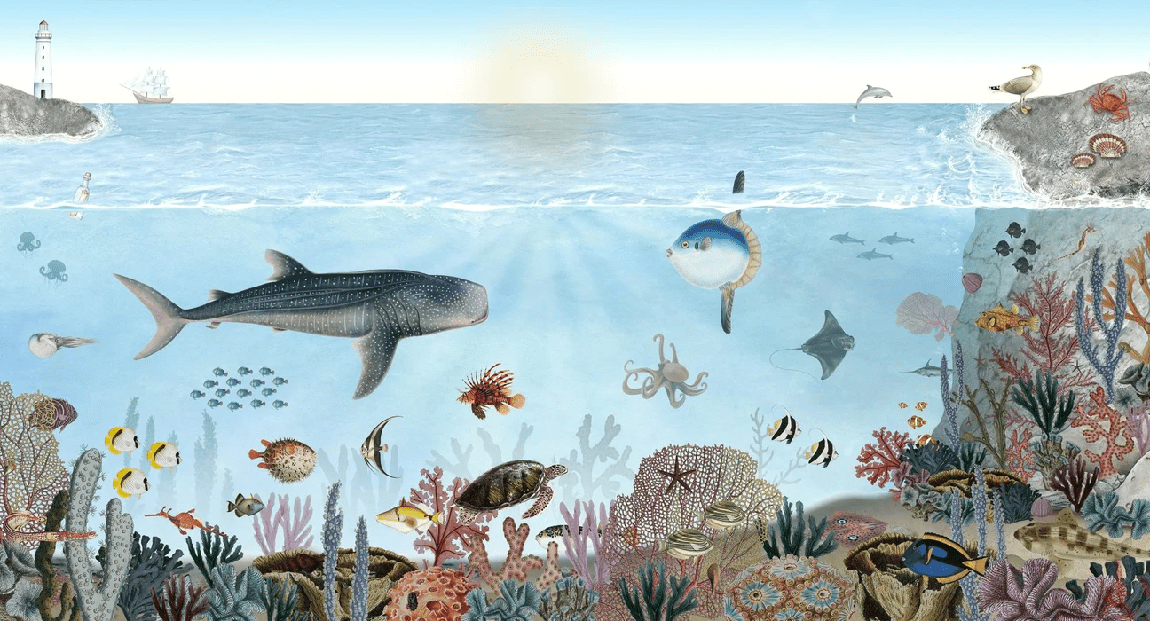 Marine animals wallpaper