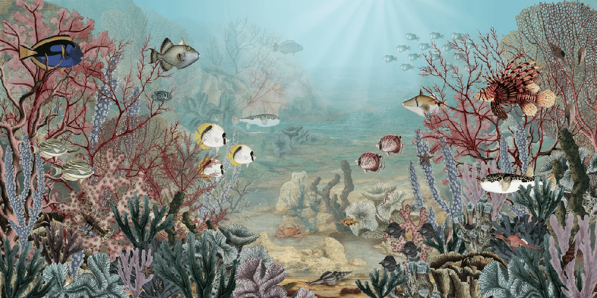 Under the Sea Wallpaper