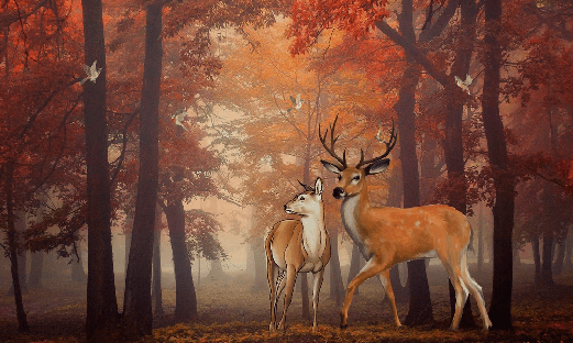 Autumn Forest & Deer Wallpaper