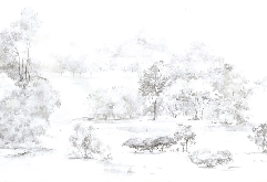 Watercolor pine forest wallpaper