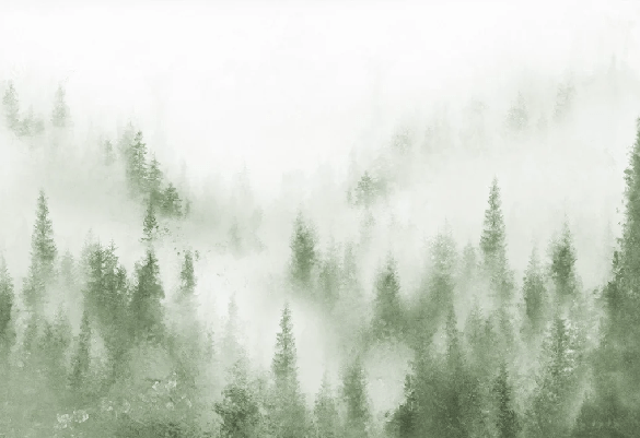 Green mist watercolor pine tree bistro wallpaper