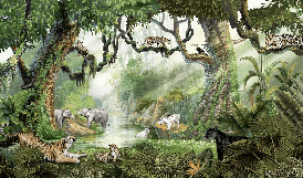 Secret Jungle Children's Wallpaper