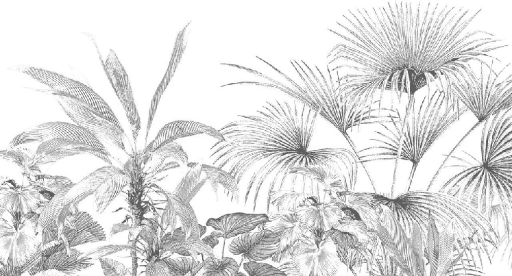 Tropical monochrome engraving wallpaper