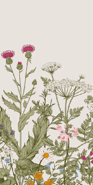 Romantic folk botanical flower wallpaper