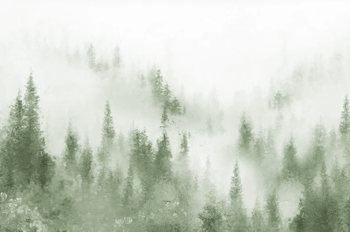 Watercolor green mist bistro fir wallpaper