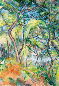 Pine Forest Wallpaper - Paul Cézanne