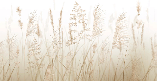 Wheat field flower wallpaper