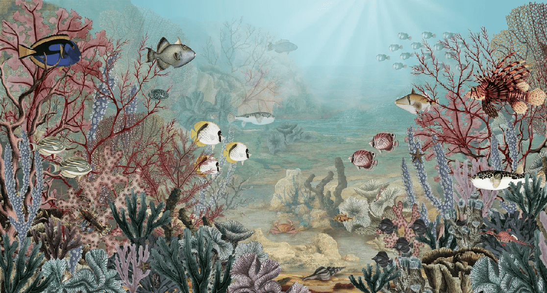 Under the Sea Wallpaper