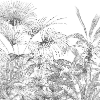 Tropical monochrome engraving wallpaper