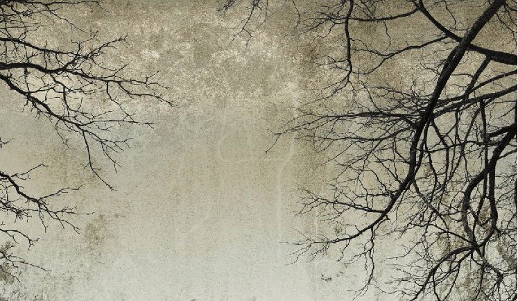 Enchanted Forest Wallpaper