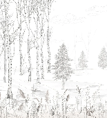 Black and white forest wallpaper – Douceur des Bois