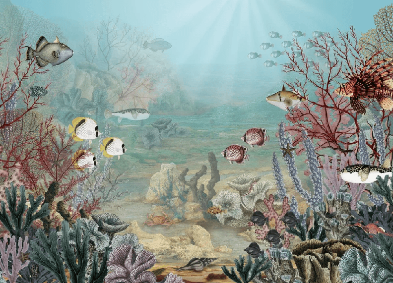 Under the Sea Wallpaper